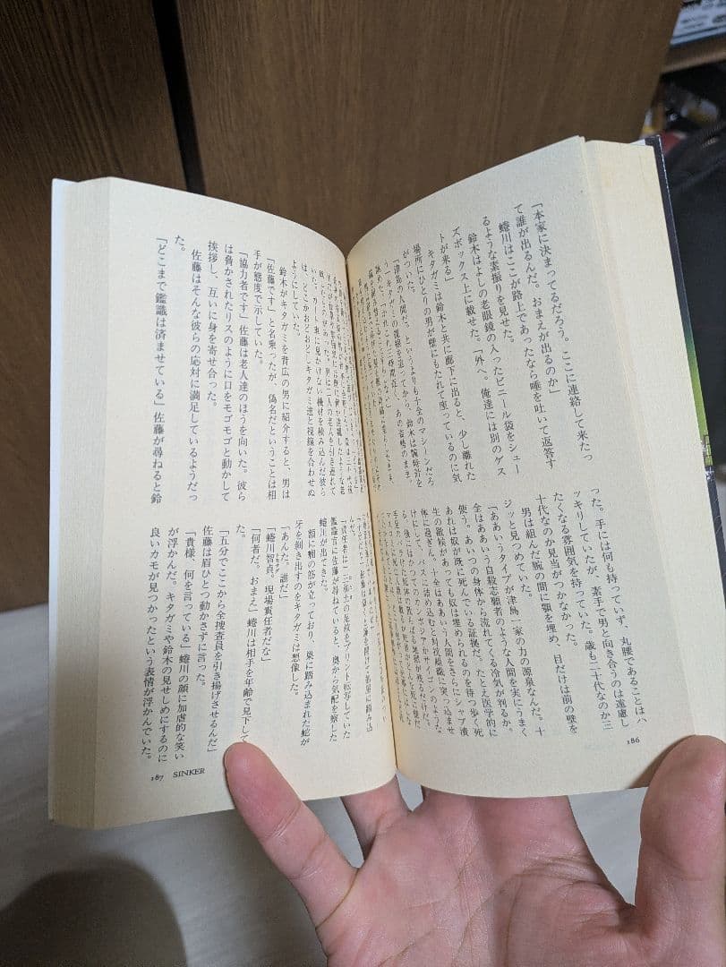 絶版 sinker 沈むもの 平山夢明 シンカー 希少 ホラー小説