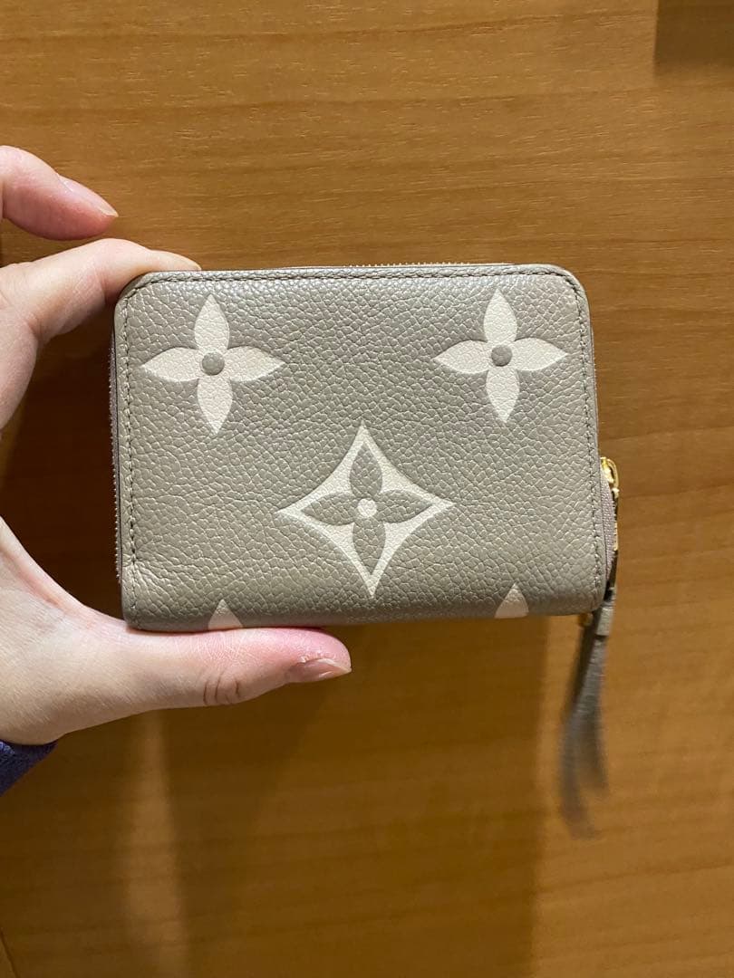 Louis Vuitton アンプラント ケース 美品 M82448