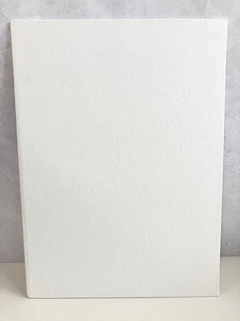 トライガンマキシマム ヤングキングアワーズ特製複製原画セット 内藤泰弘