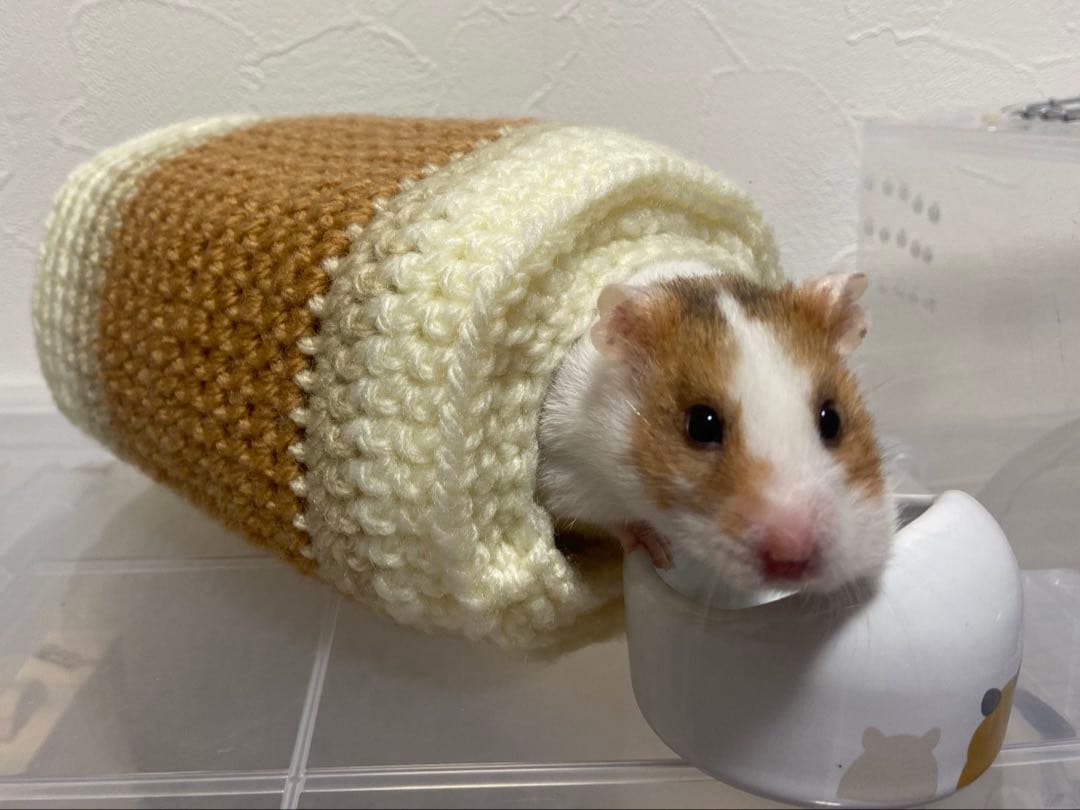 問い合わせ専用ページ