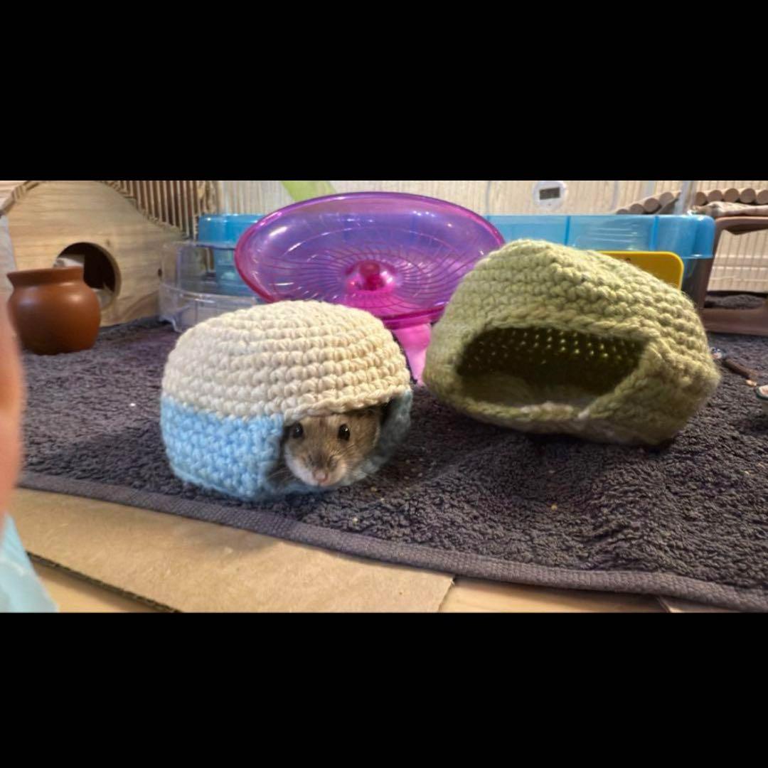 問い合わせ専用ページ