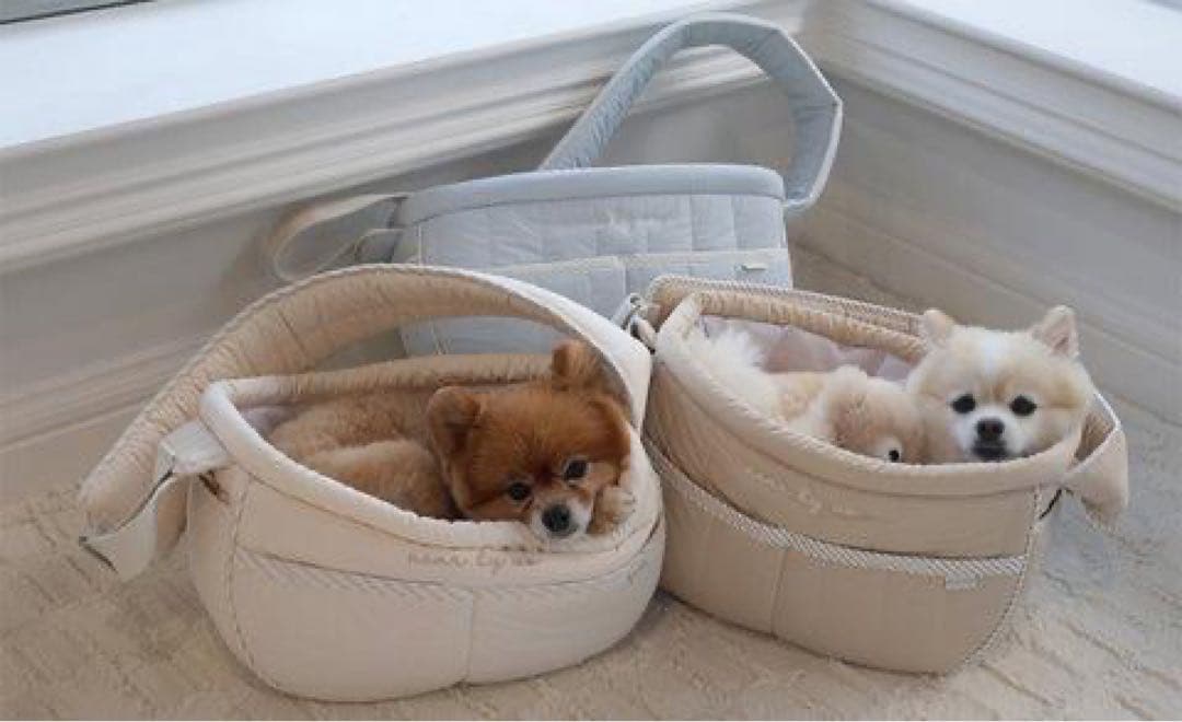 【未使用タグ付】near by us tarte bag ペットスリング 韓国