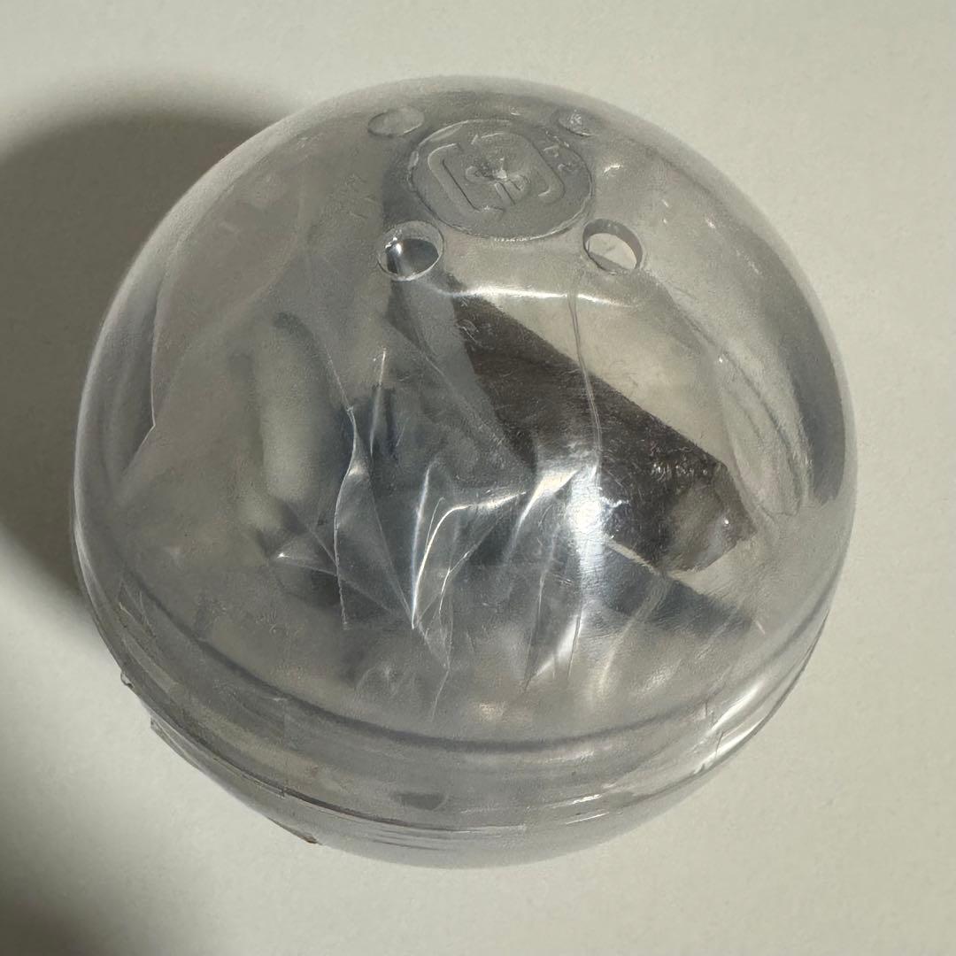 小笠原　アホウドリ　テストショット　ネイチャーテクニカラー