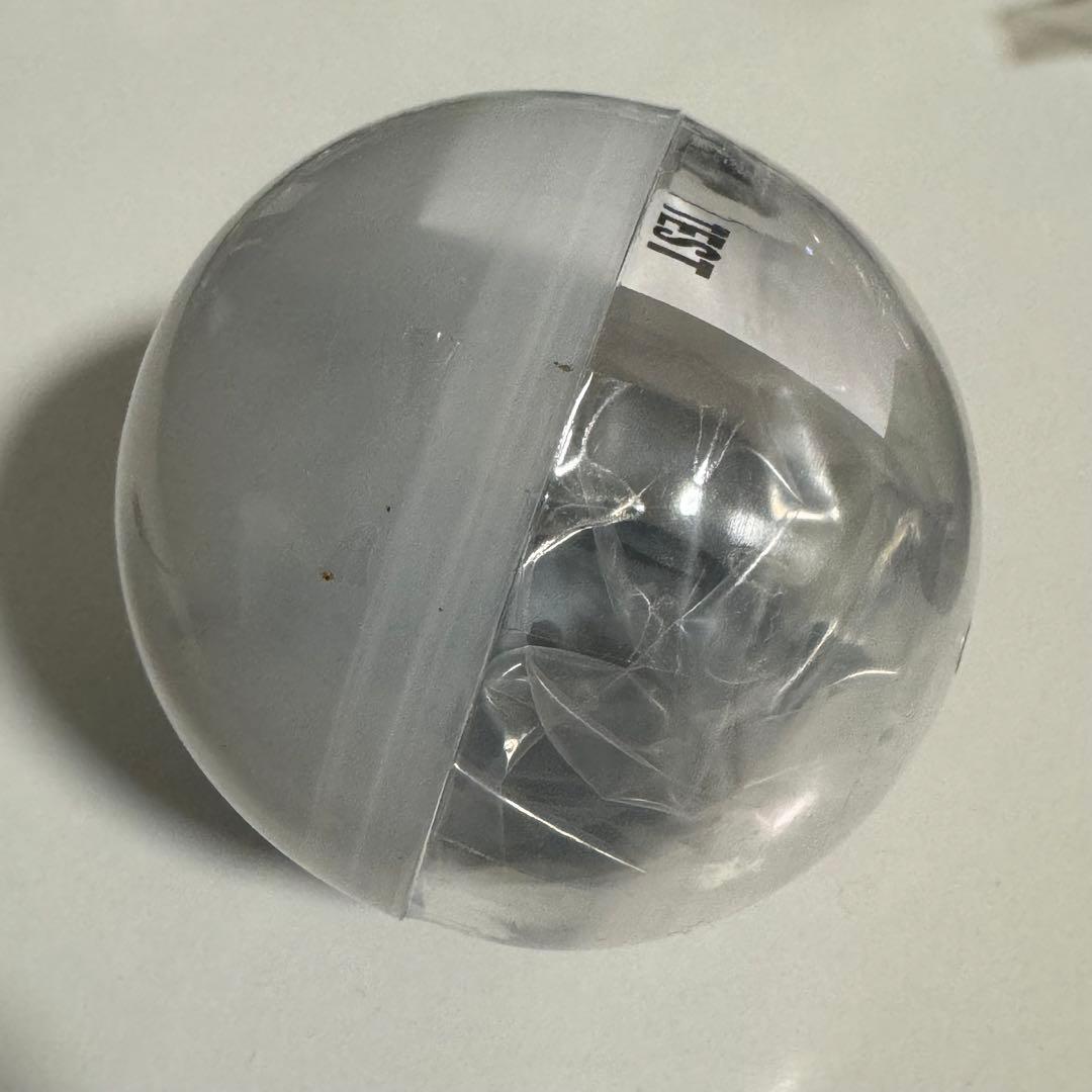 小笠原　アホウドリ　テストショット　ネイチャーテクニカラー