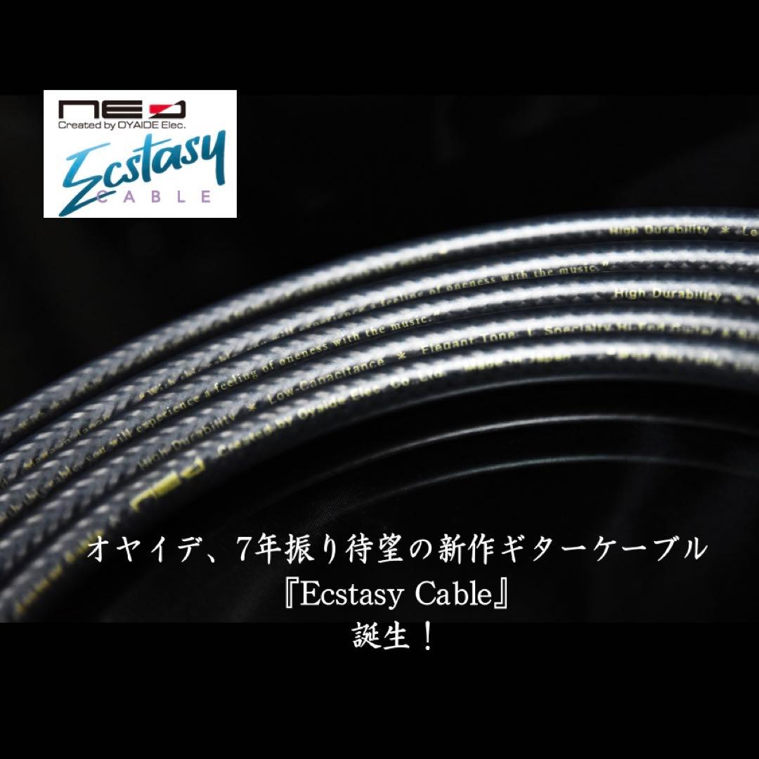 HighEnd】フラッグシップ Ecstasy Cable「L/S2m」［新品］