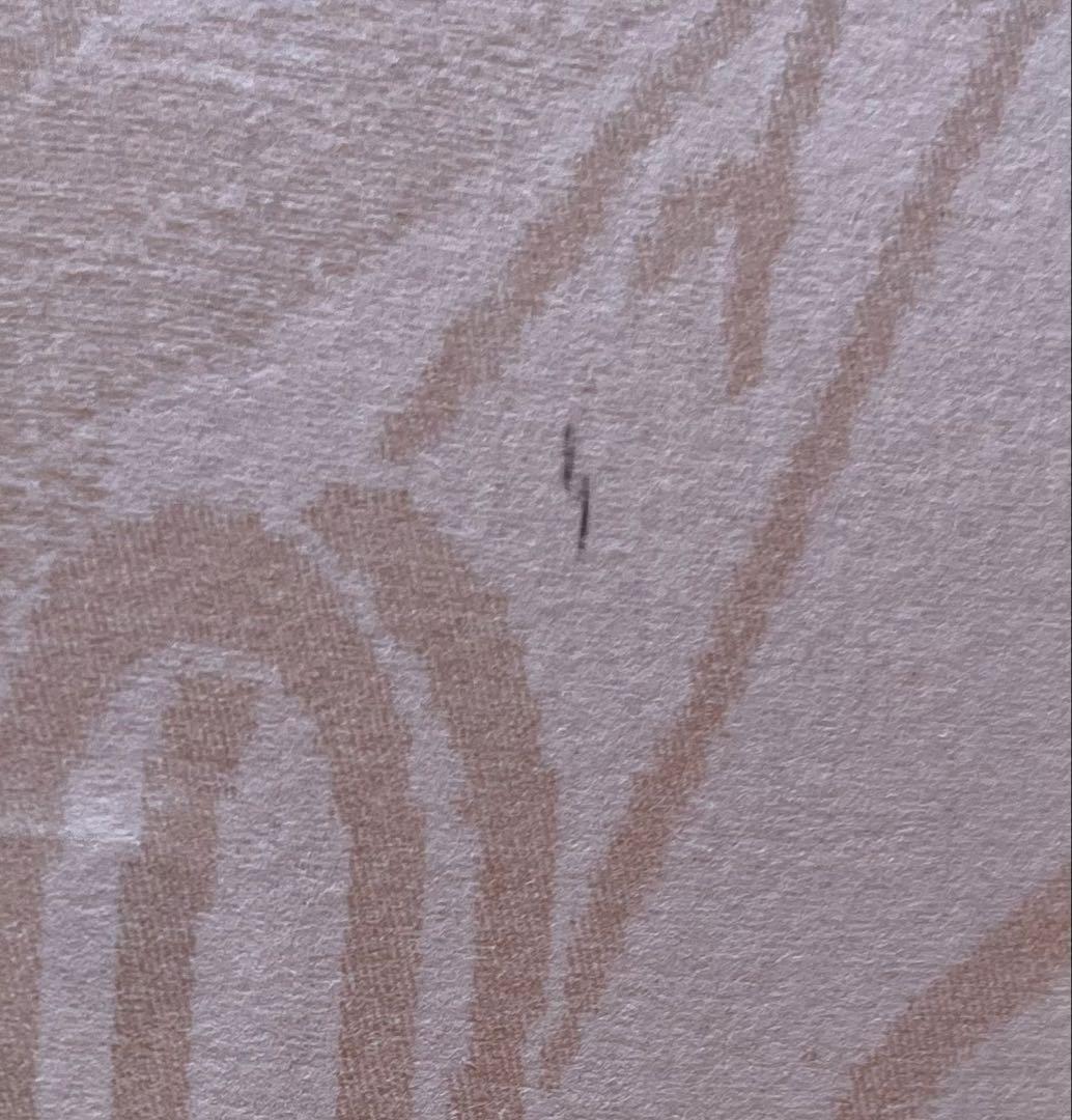 1/17迄限定値下げ！リトグラフ　山口藍　サイン入　版画集「歌木立」 23/40