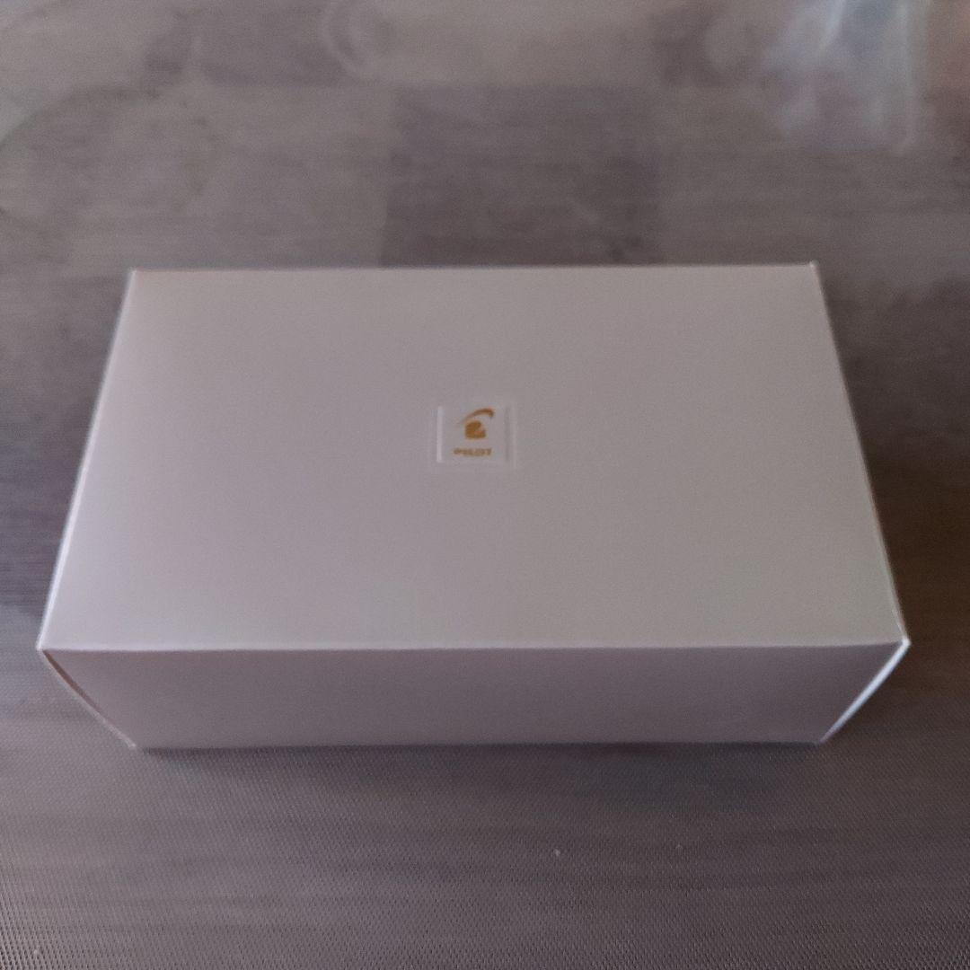 万年筆 パイロット カスタム 845 太字 新品未使用