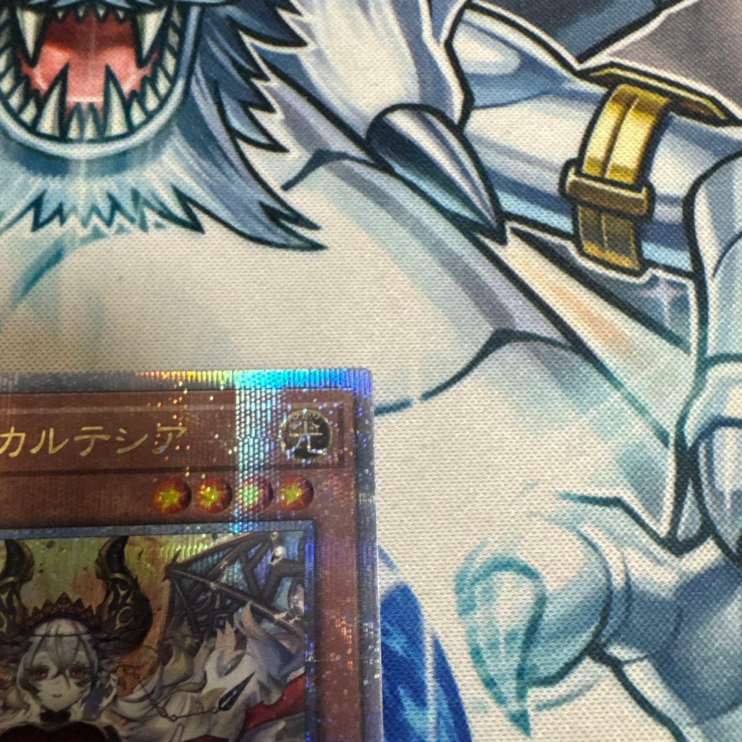 赫の聖女カルテシア 25th CF01-JPS04 日本語版