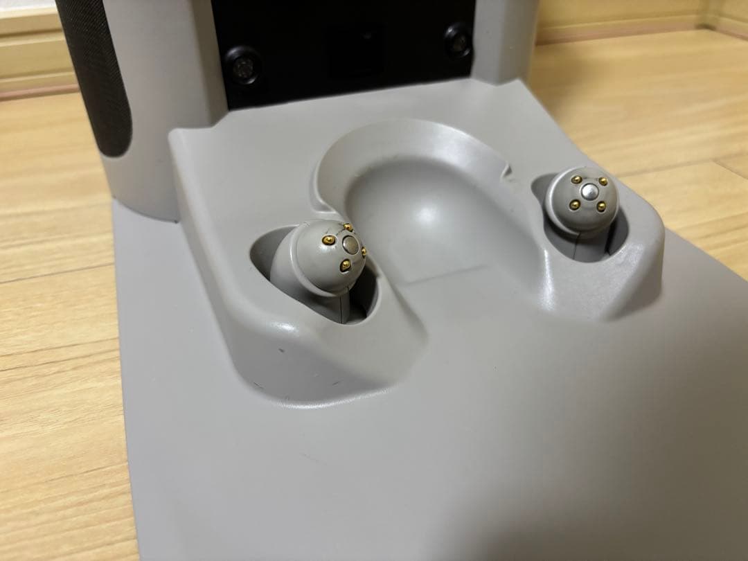 【hana】LOVOTラボット2.0本体 ウェア4枚【2023年購入】