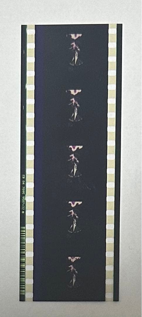 劇場版 魔法少女まどか☆マギカ 特典フィルムコマ 暁美ほむら 弓ほむ マギレコ