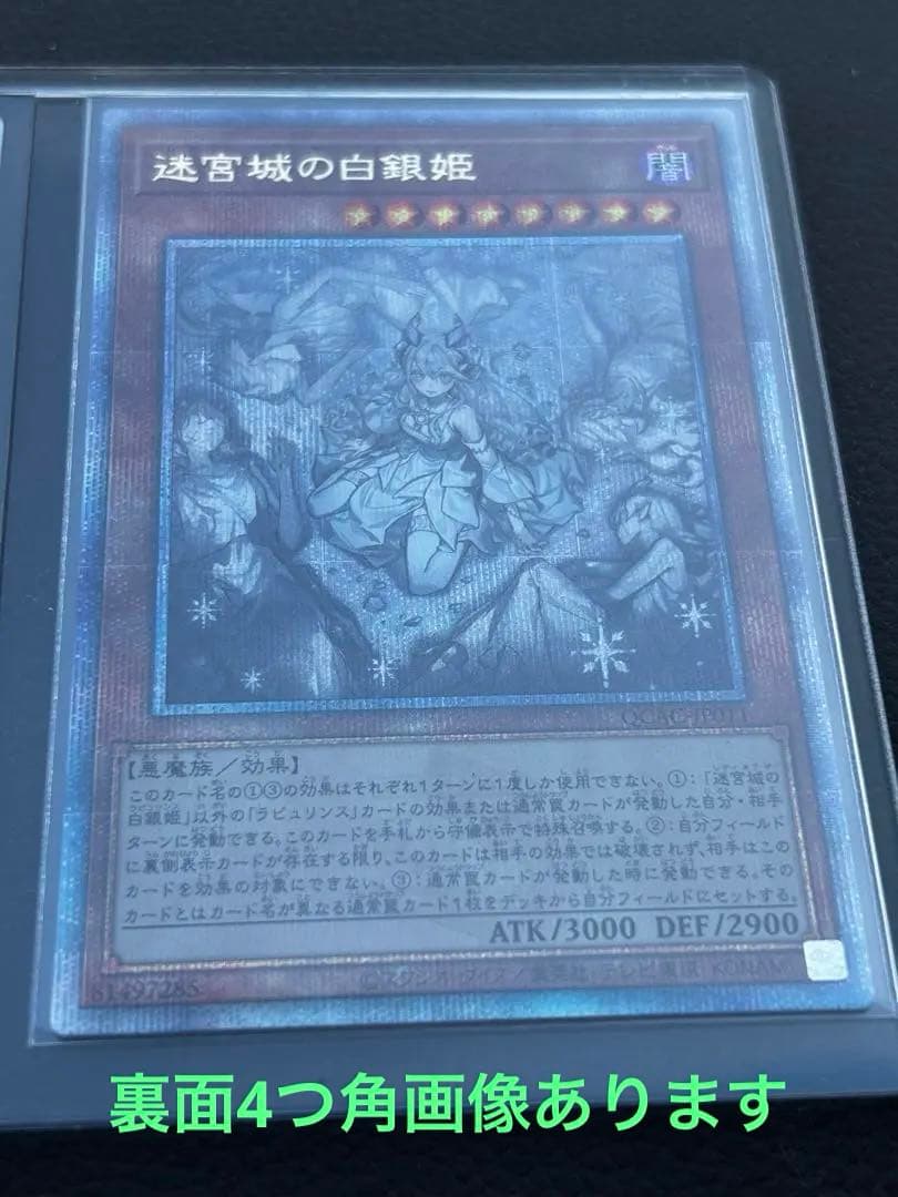 迷宮城の白銀姫 25th アーコレ 絵違い