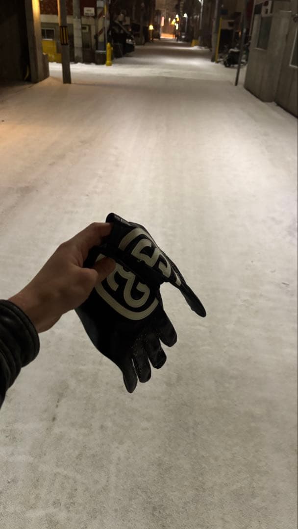 3日まで限定27500円 backseatMV keiju着用 stussy手袋