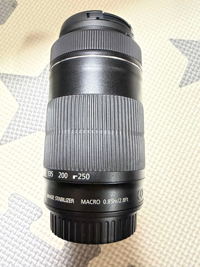 新品未使用 キャノン EF-S55-250mm F4-5.6 IS STM 望遠