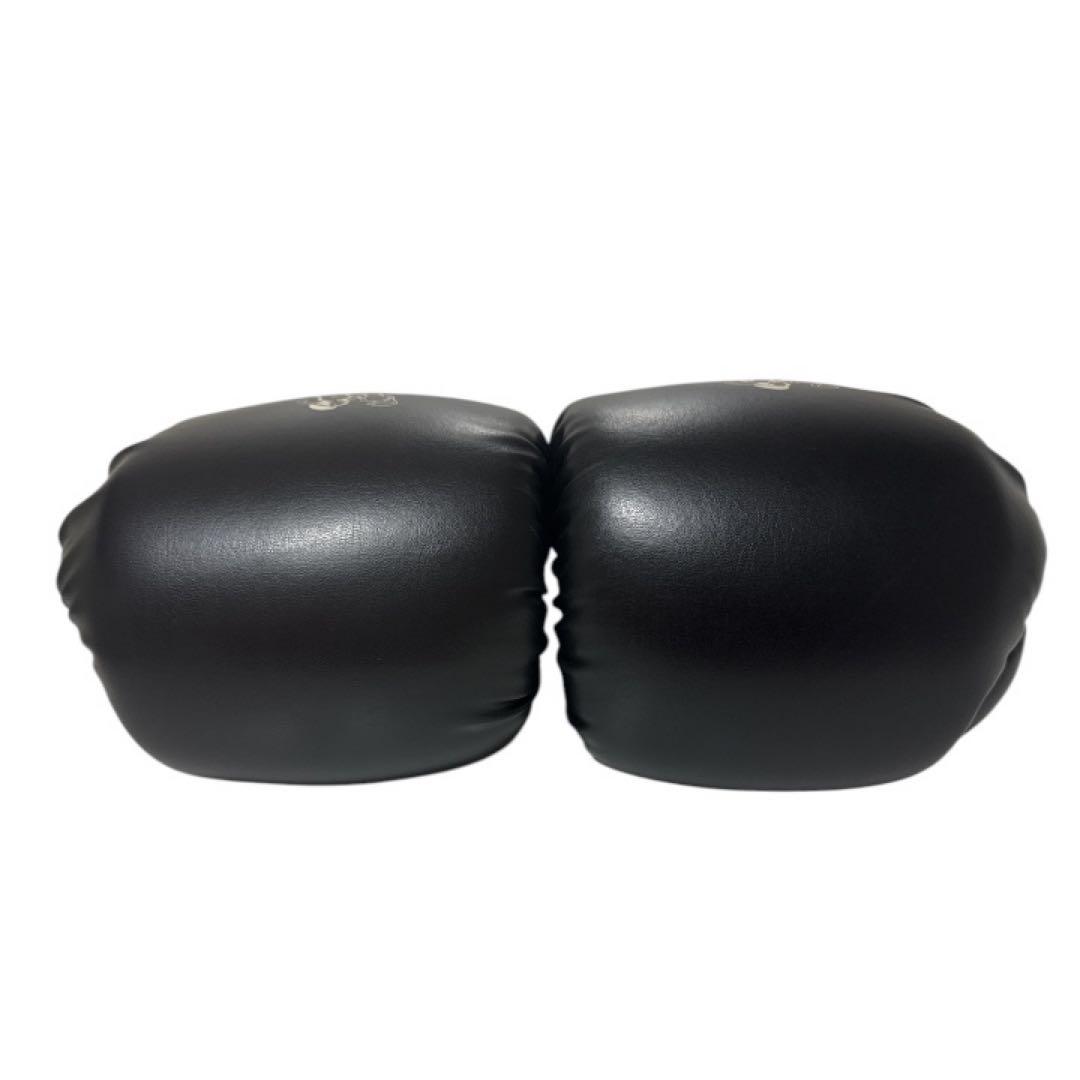 最終値下げ【極美品】WINDY ボクシング グローブ 10 黒 ベージュ