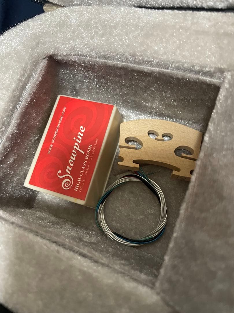 サイレントバイオリン？