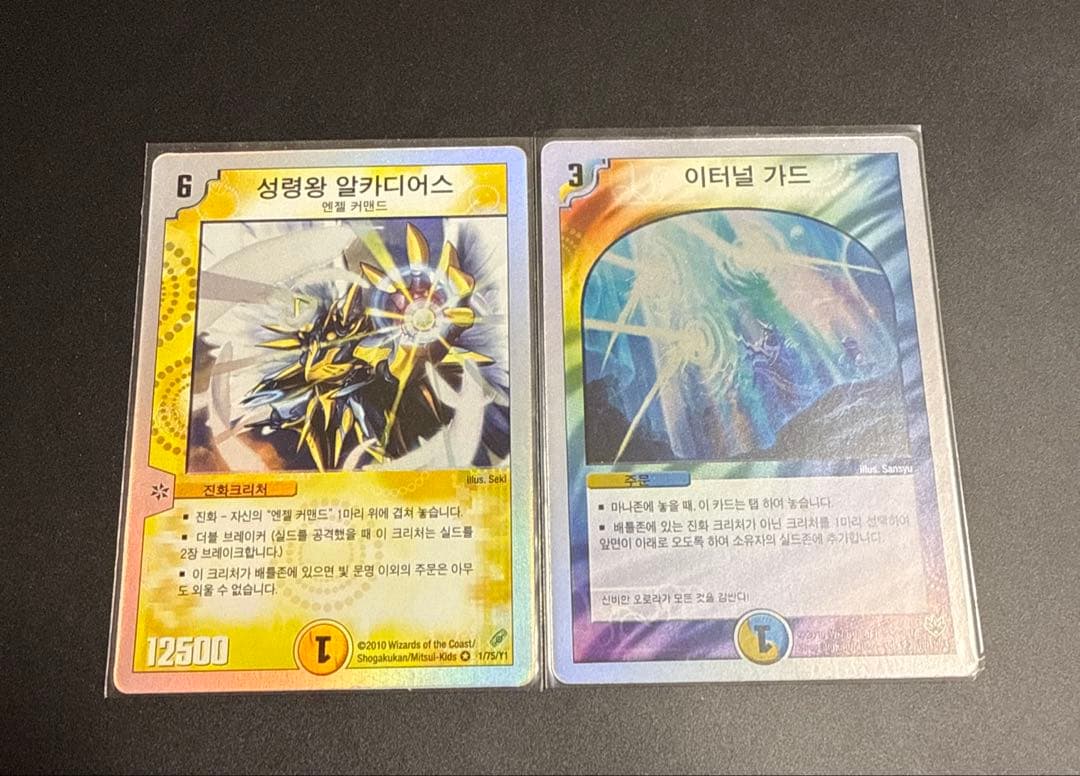 デュエルマスターズ 海外 韓国 アルカディアス エターナルガード