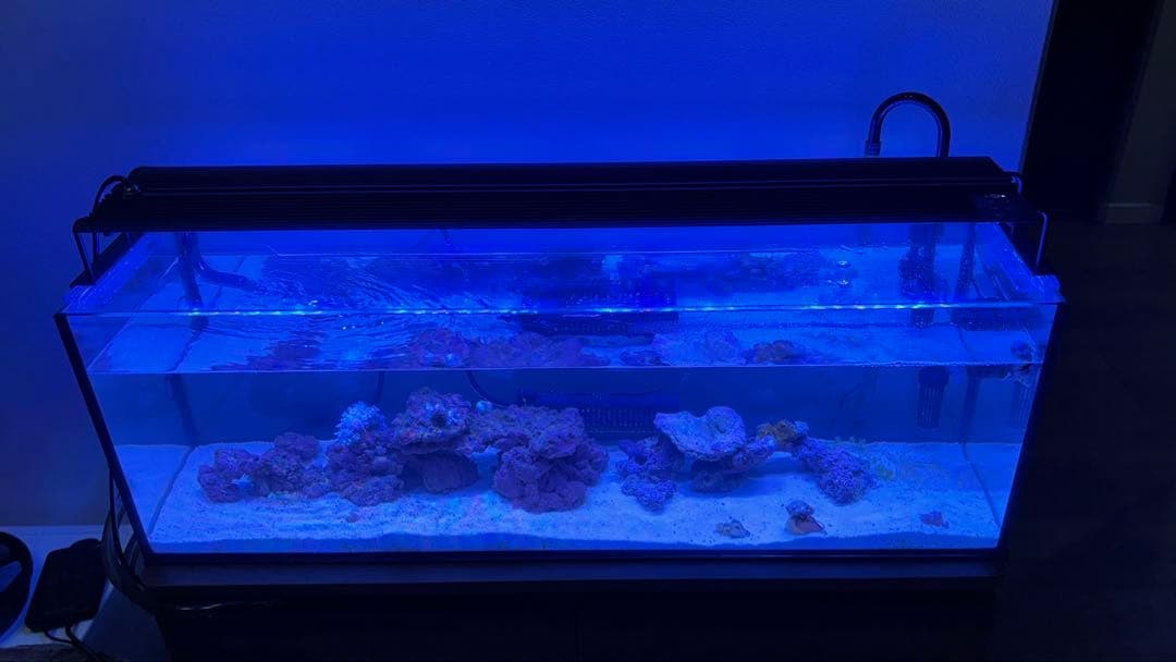 水槽用ライト マーフィード NEMO LIGHT2 AM-96 (海水用)