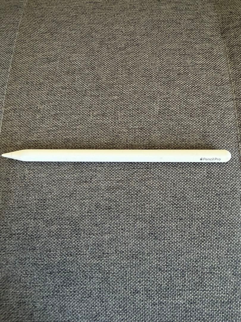 iPad Pro M4 11インチ 256GB Wi-Fi+Cellular