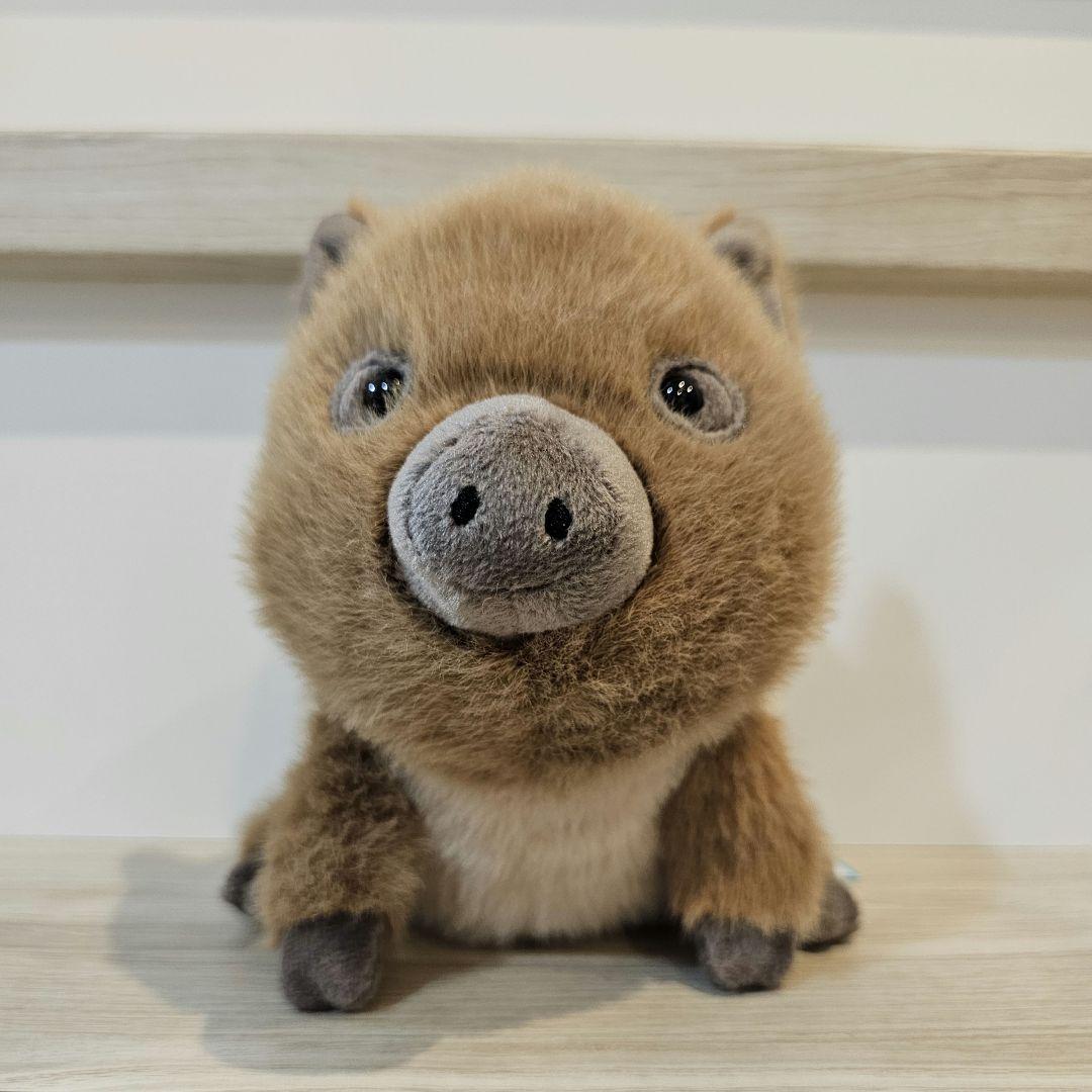 ジェリーキャット イノシシ Swinley Boar