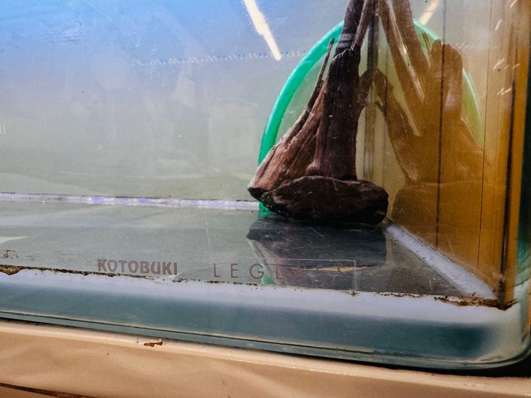 KOTOBUKI LEGLASS 90 cm水槽