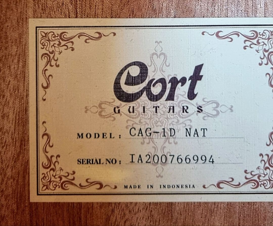 CORT CAG-1F / CAG-1D アコースティックギター Cort