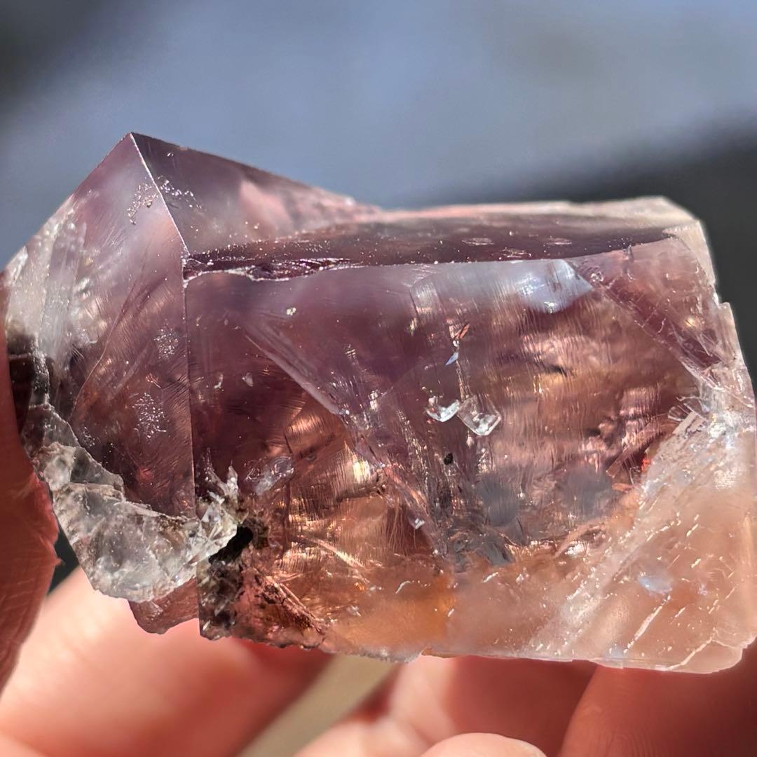 その他 sherry twins pocket