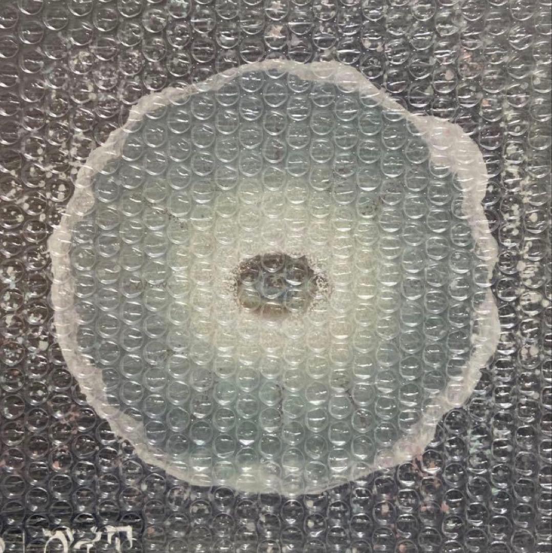 siip ガイア 完全生産限定盤 新品未開封