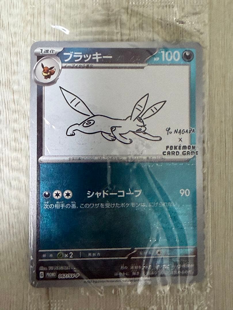 yu nagaba ブイズ、ピカチュウセット【おまけ付き】