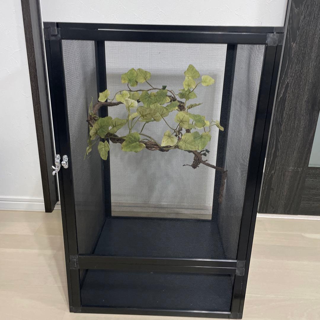 飼育ケージ　ケージ　42×42×66 爬虫類　カメレオン　メッシュ　レイアウト