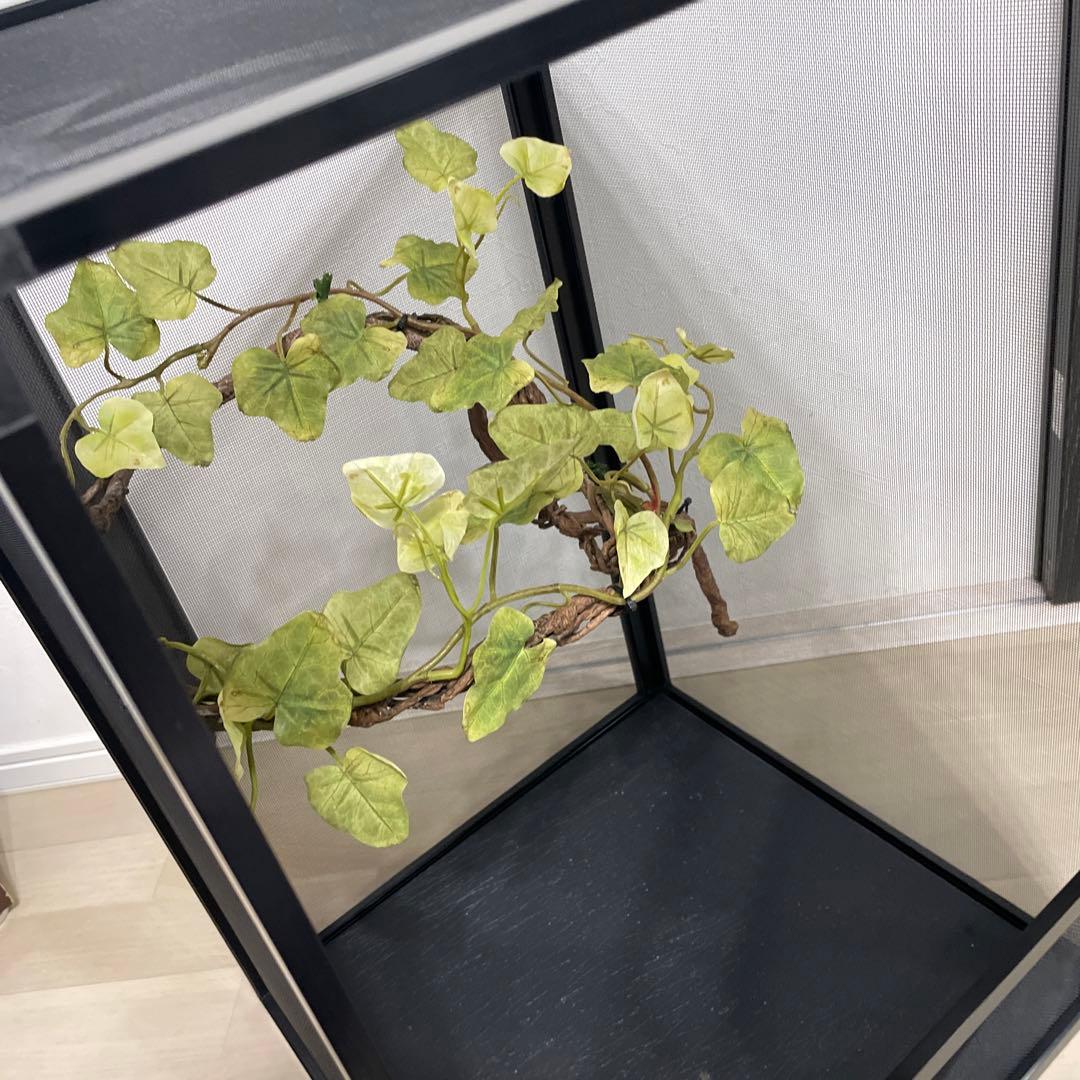 飼育ケージ　ケージ　42×42×66 爬虫類　カメレオン　メッシュ　レイアウト