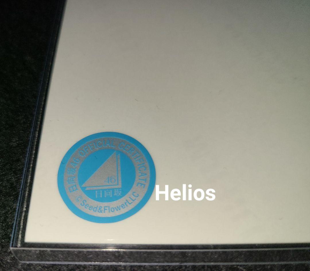 直筆 サイン 小坂菜緒 日向坂46 ネイビーサンタ 衣装 生写真