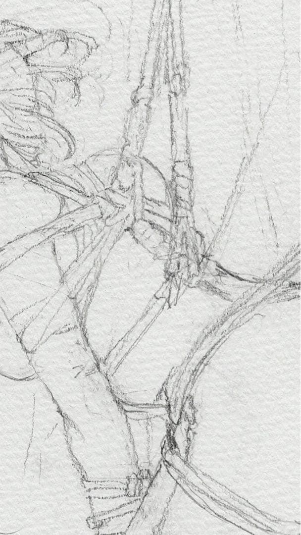 【blackninja1】他のユーザーの方のご購入はご遠慮ください！