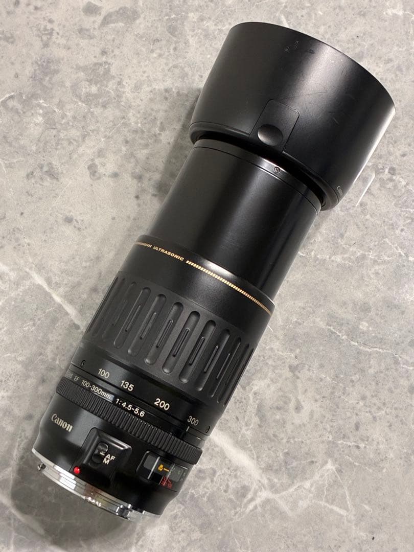 ⭐️美品⭐️キャノン Canon EF 100-300mm 4.5-5.6 USM