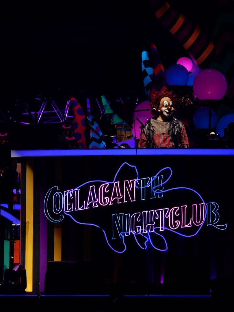 Nikon COOLPIX A900 コンデジ【作例有】