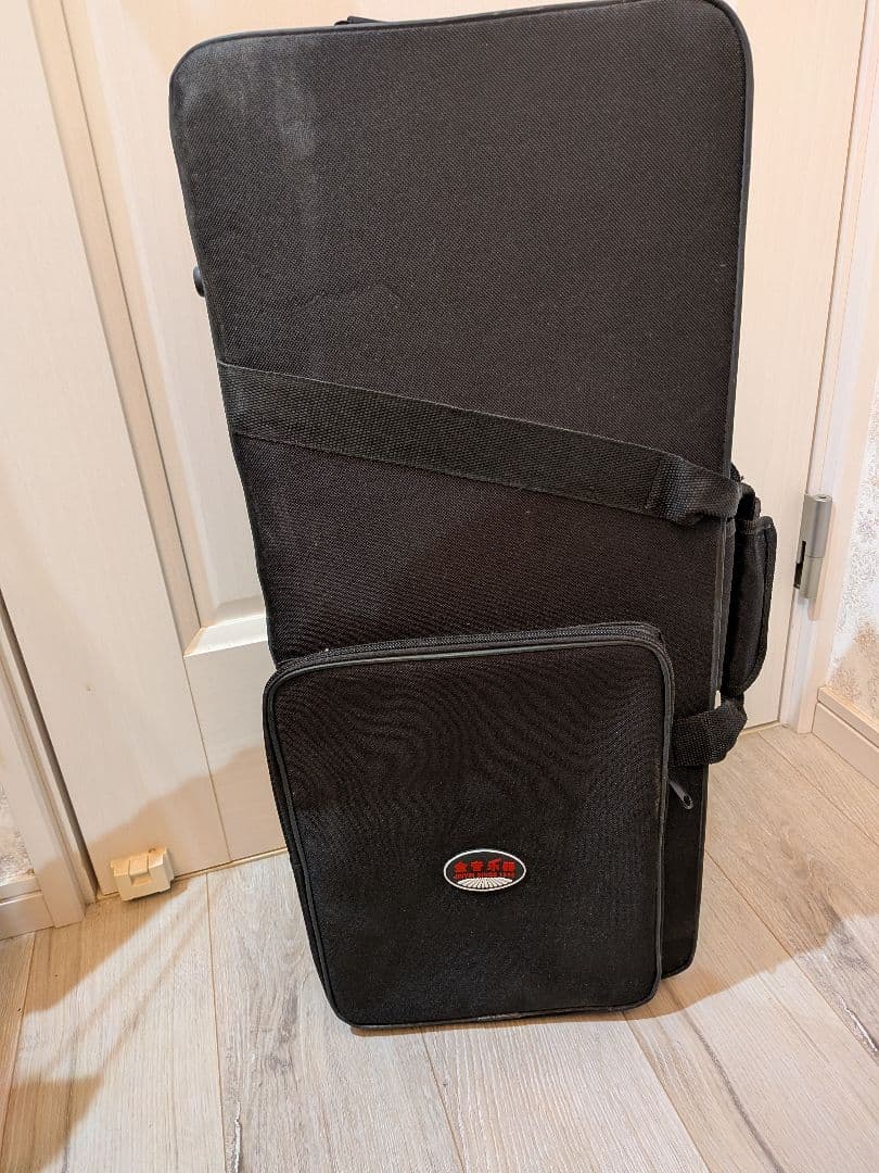 DSA E100 アルトサックス 美品 Designed in USA ケース付