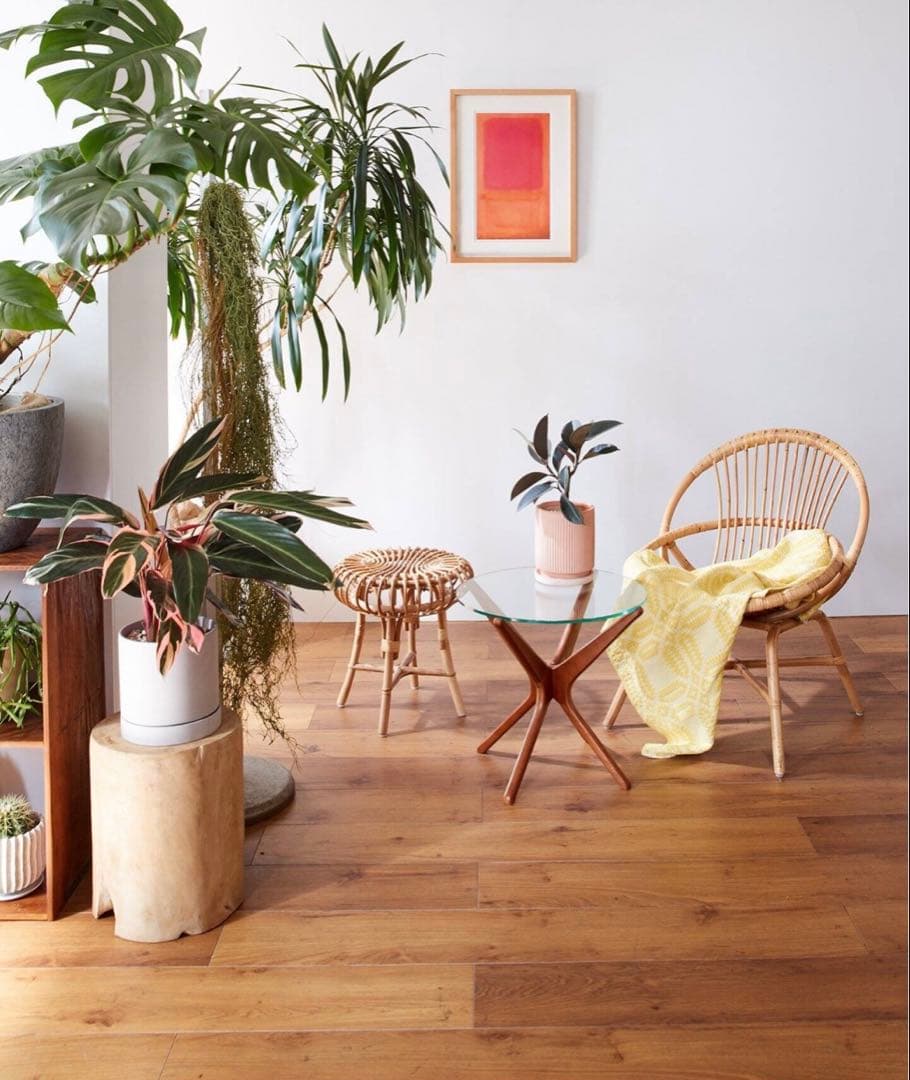 ACME Furniture⭐️トラッセルサイドテーブル⭐️ガラス×木