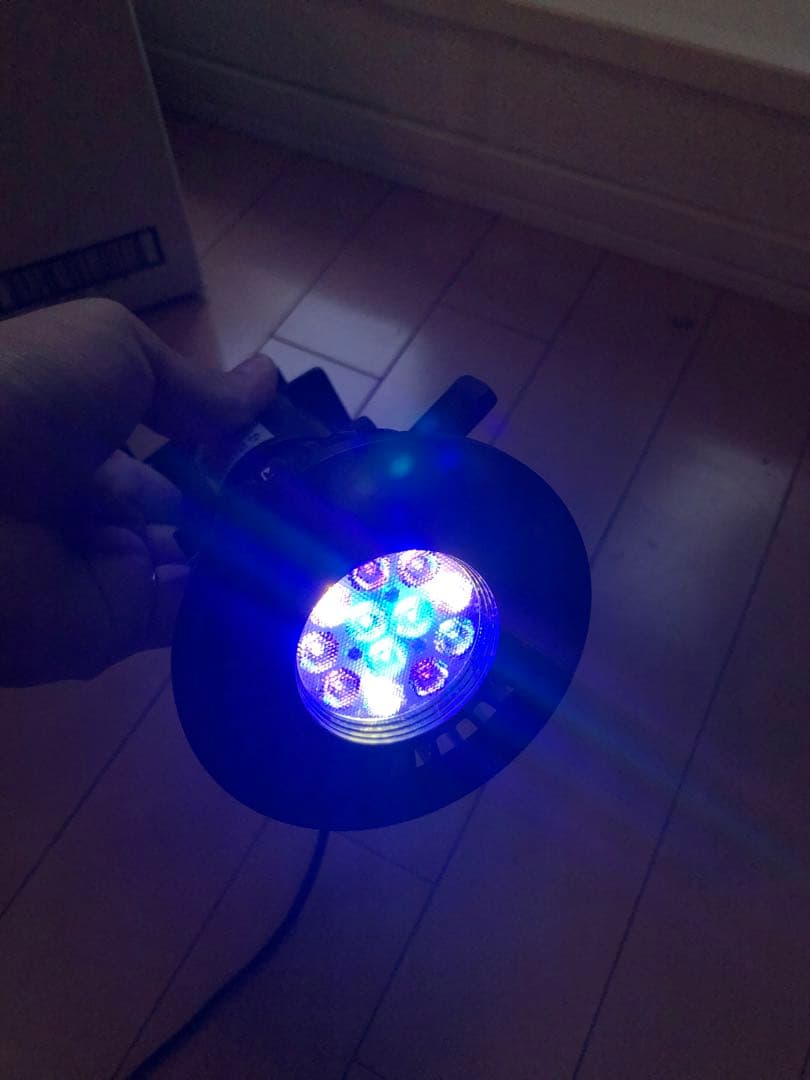 海水魚用品 GrassyLeDioRX121s RFB