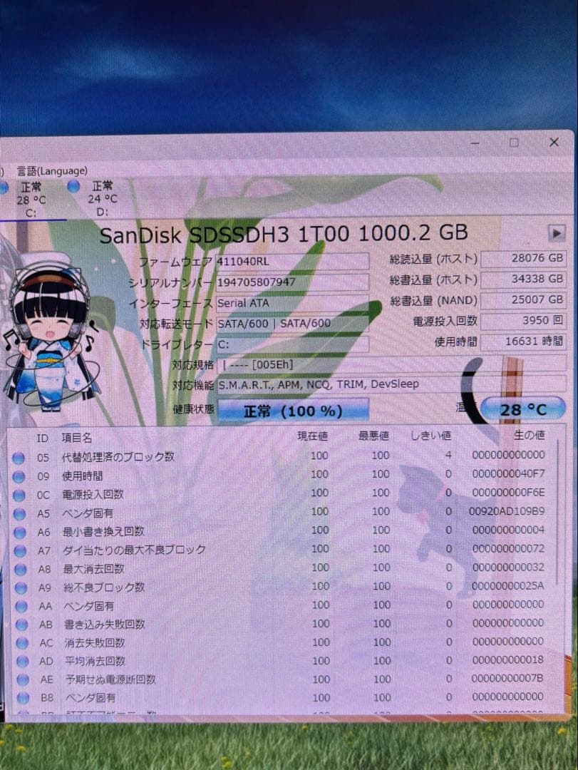 SanDisk Ultra 3D SSD 1TB 2.5インチ