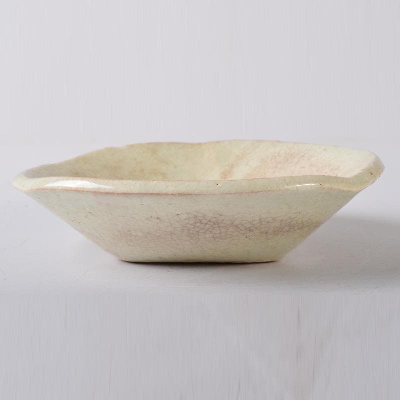 和食器　京焼　清水焼　陶楽造　向付　五客　共箱　V　7839