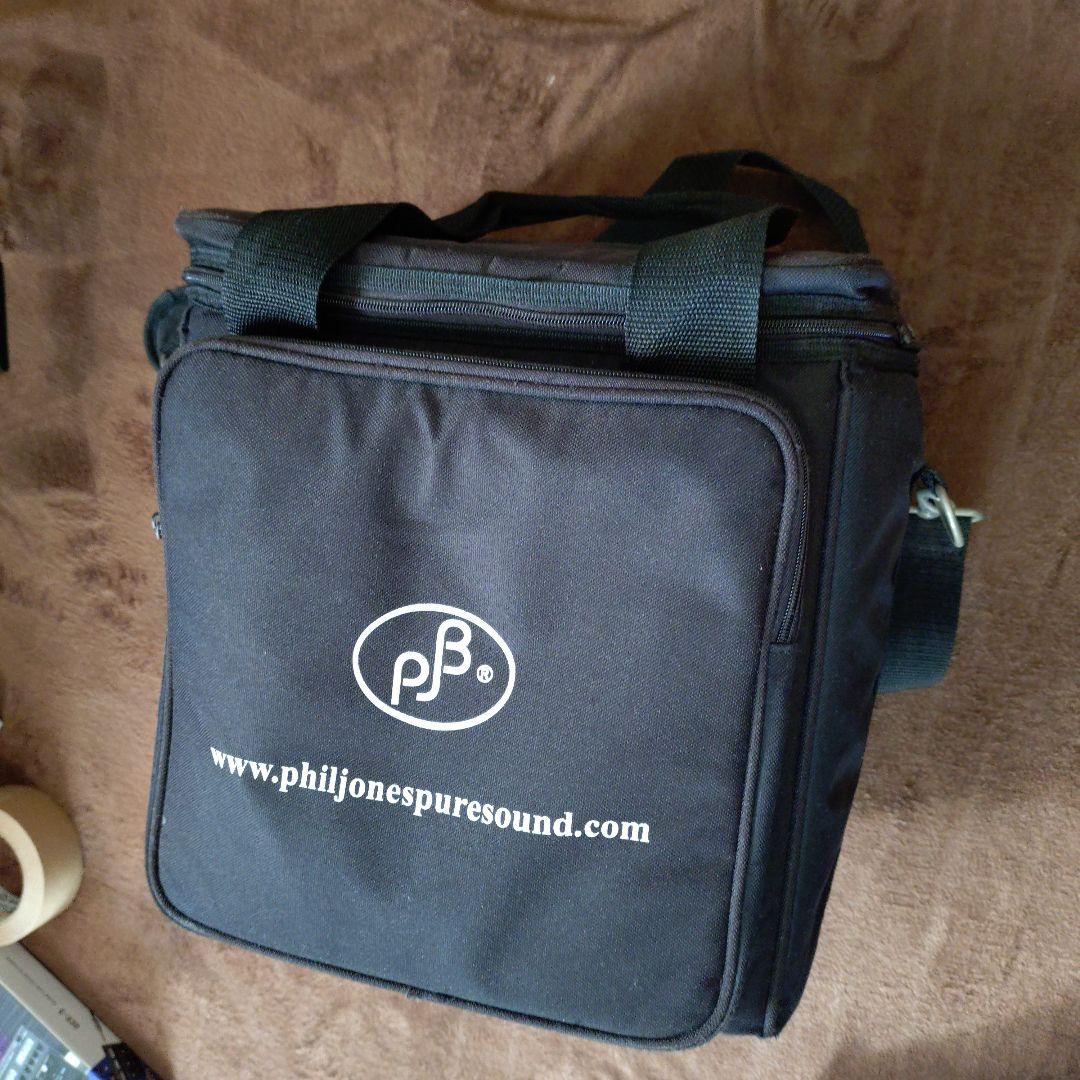 PJB Phil Jones Bass Cub BG-100（訳あり）