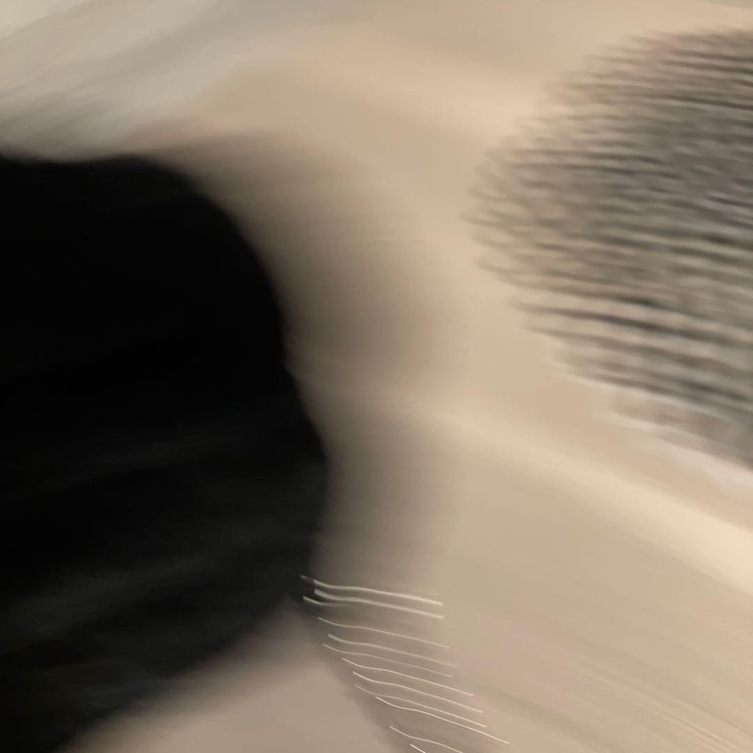 ダーリッチ フェイクファーショルダーミニバッグ　ブラック　新品未使用　黒