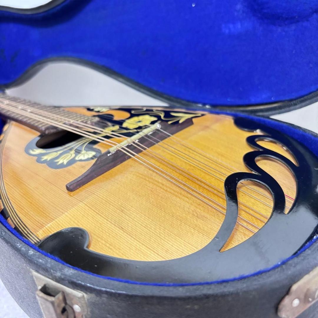 ☆マンドリン カターニア CATANIA イタリア ハードケース