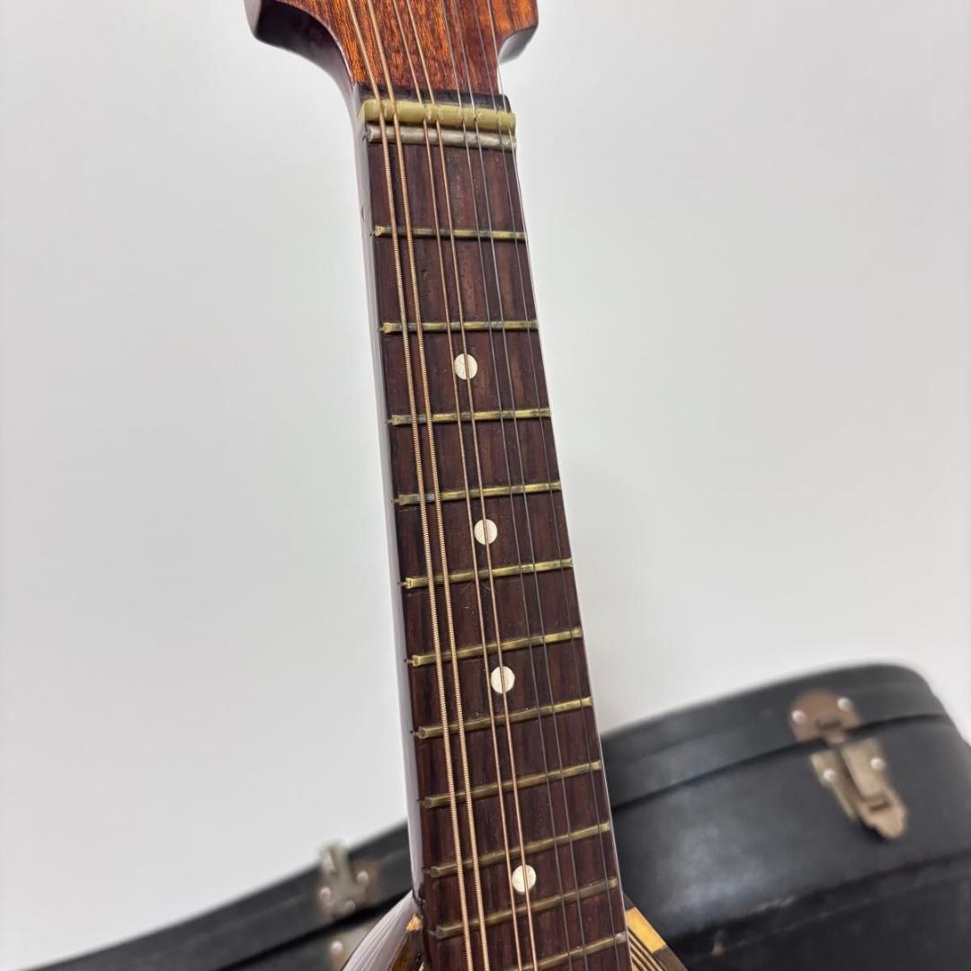 ☆マンドリン カターニア CATANIA イタリア ハードケース