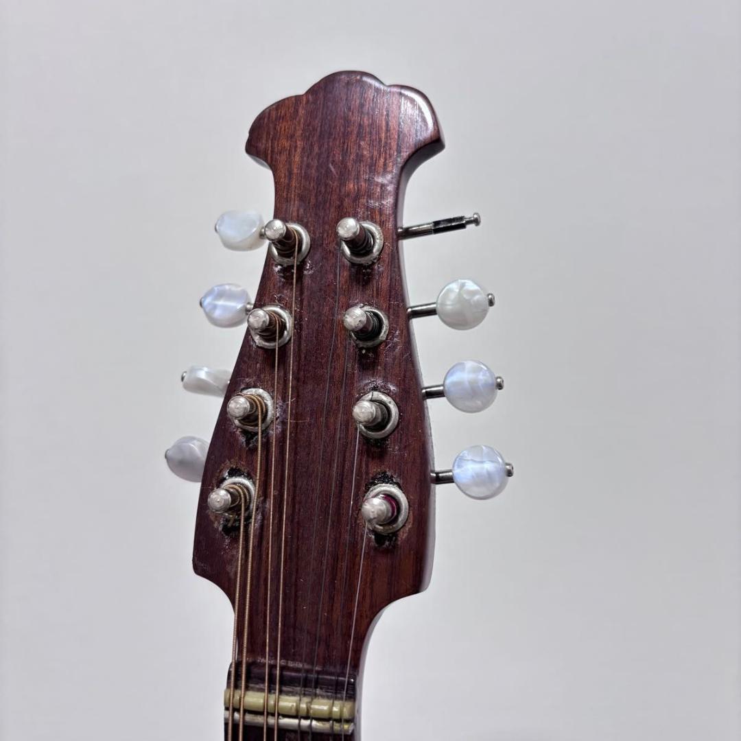 ☆マンドリン カターニア CATANIA イタリア ハードケース