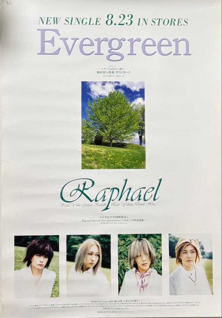 希少 ！非売品　Raphael Evergreen B2告知ポスター 2000年