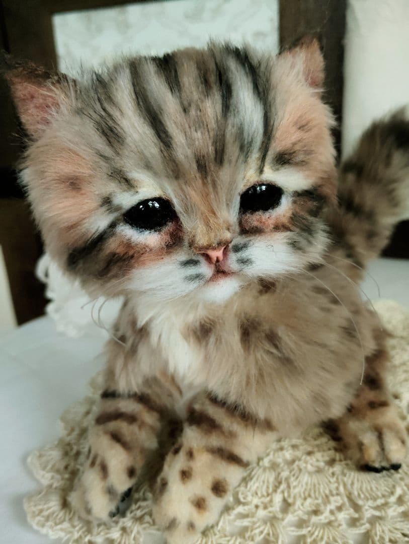 ヤマネコベビー❤子猫ちゃん♡アートドール♡ぬいぐるみ♡