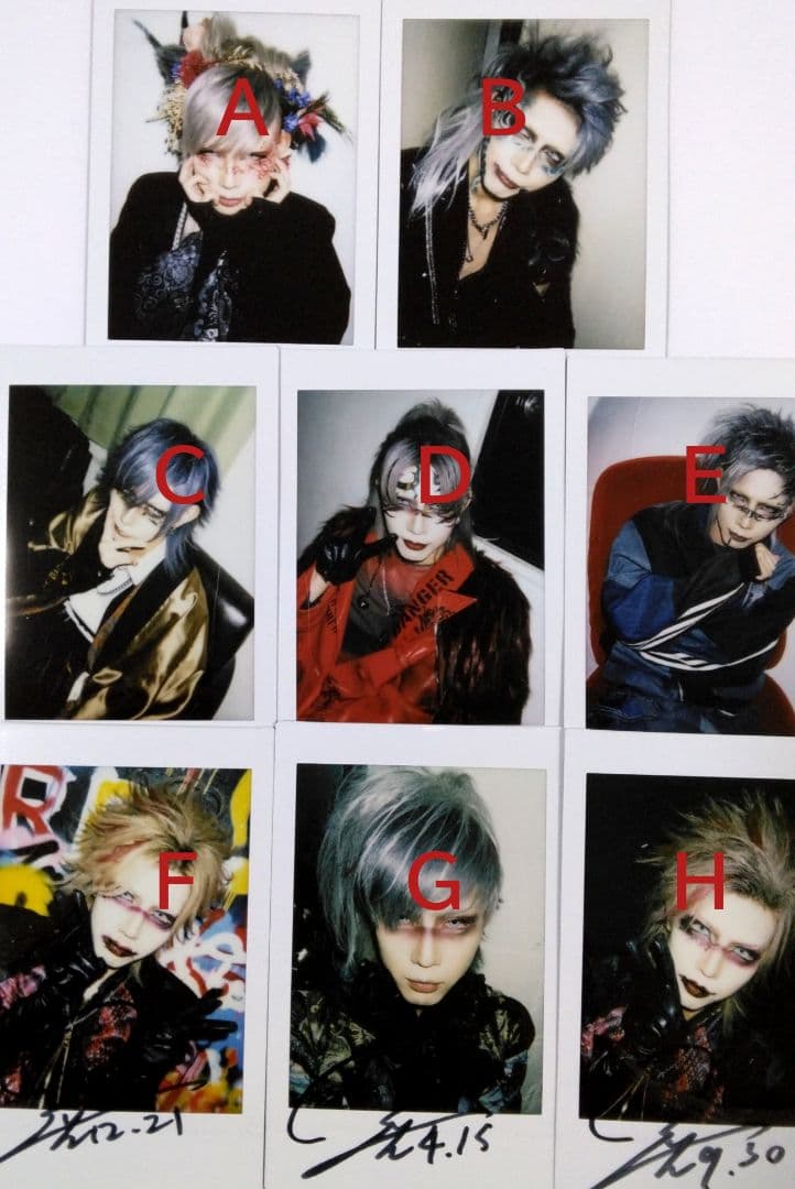 XANVALA巽さんチェキ33枚セット