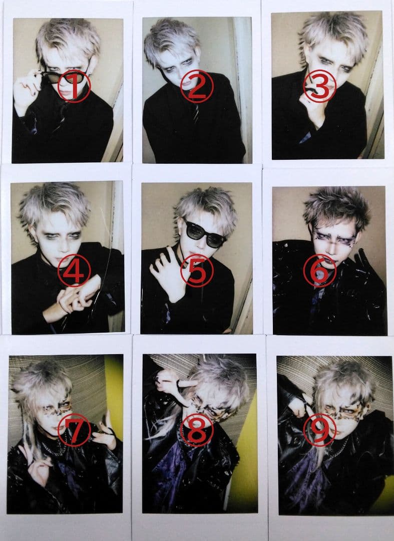 XANVALA巽さんチェキ33枚セット