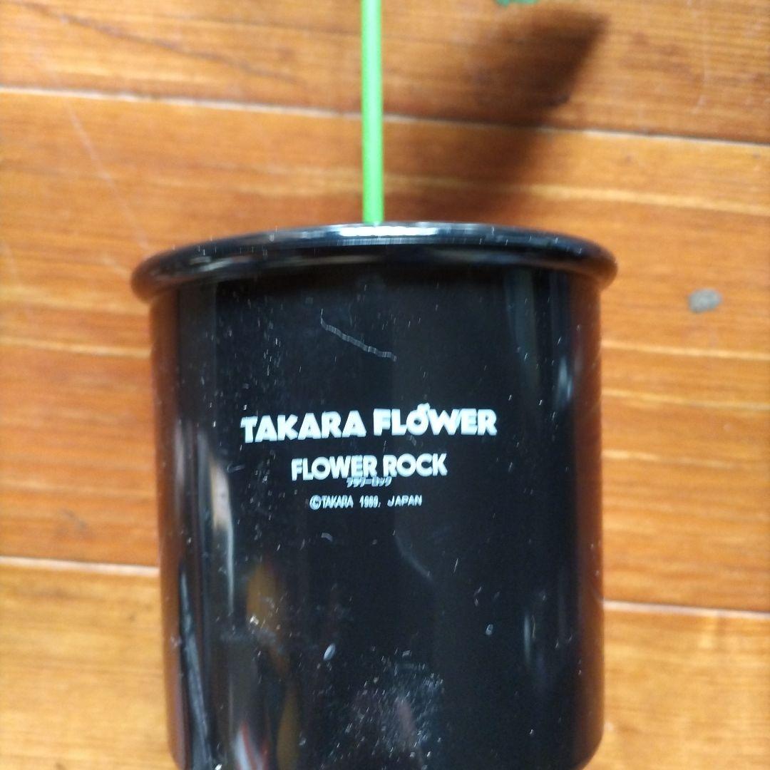 【昭和·レトロ】TAKARA FLOWER ROCK ギター花キャラクター