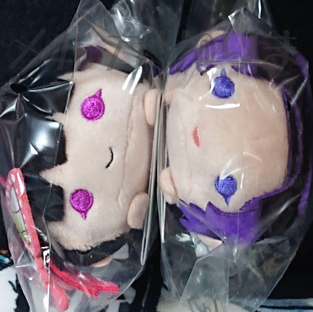 胡蝶しのぶ+栗花落カナヲ ９点セット